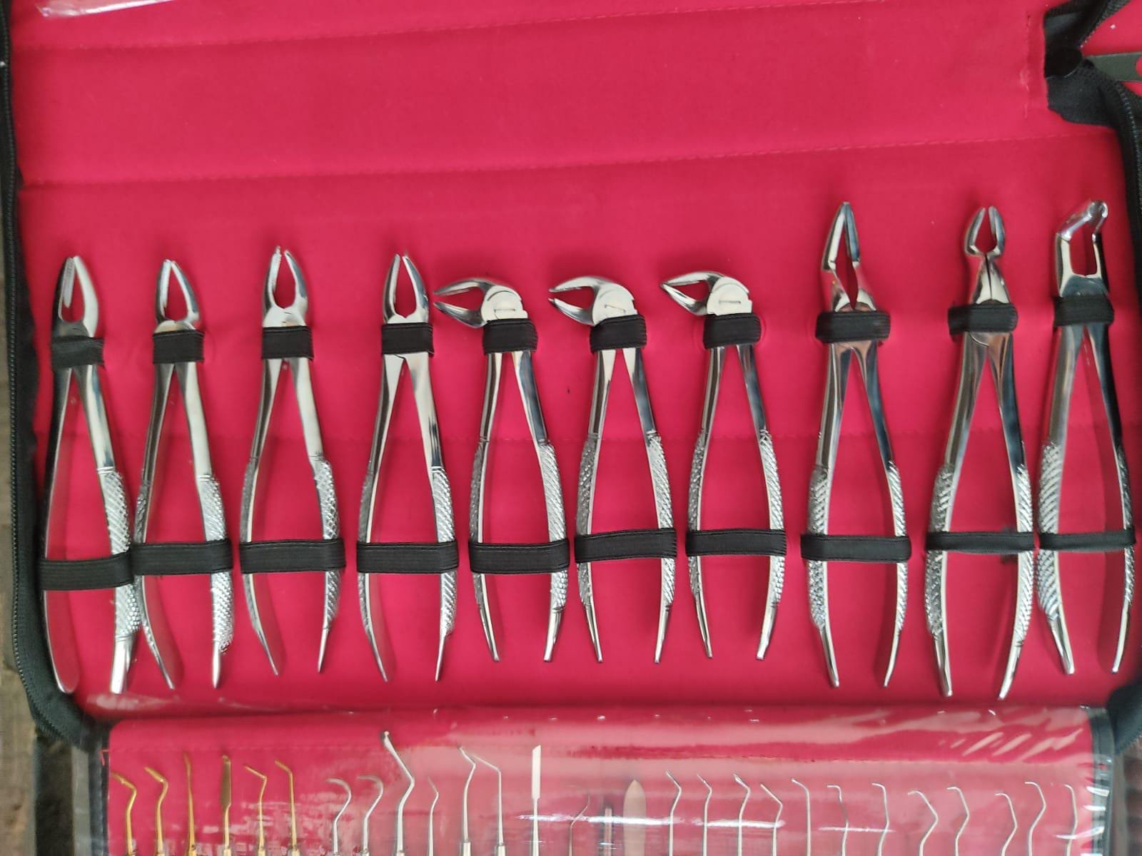 Professional Extraction Forceps Kit - Image 1